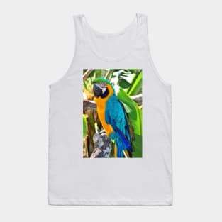 Macaw Parrot Yellow And Blue Bird Tank Top